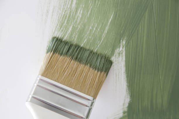 Reliable Harwich Port, MA Mold Removal Solutions