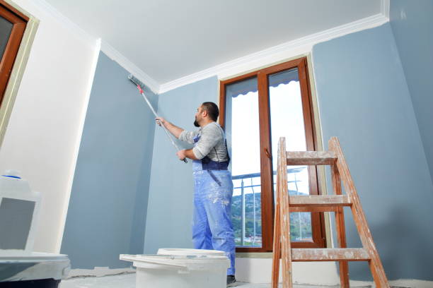 Best Mold Damage Restoration  in Harwich Port, MA
