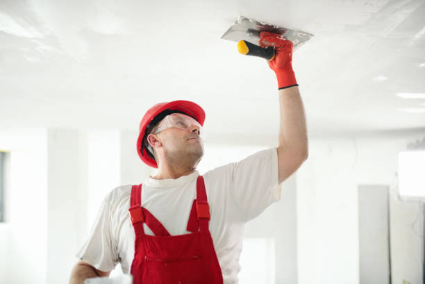 Best Mold Remediation for Healthcare Facilities  in Harwich Port, MA