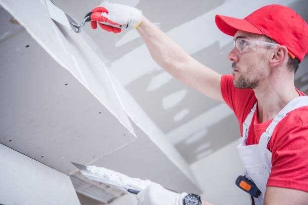 Reliable Harwich Port, MA Mold Removal Solutions
